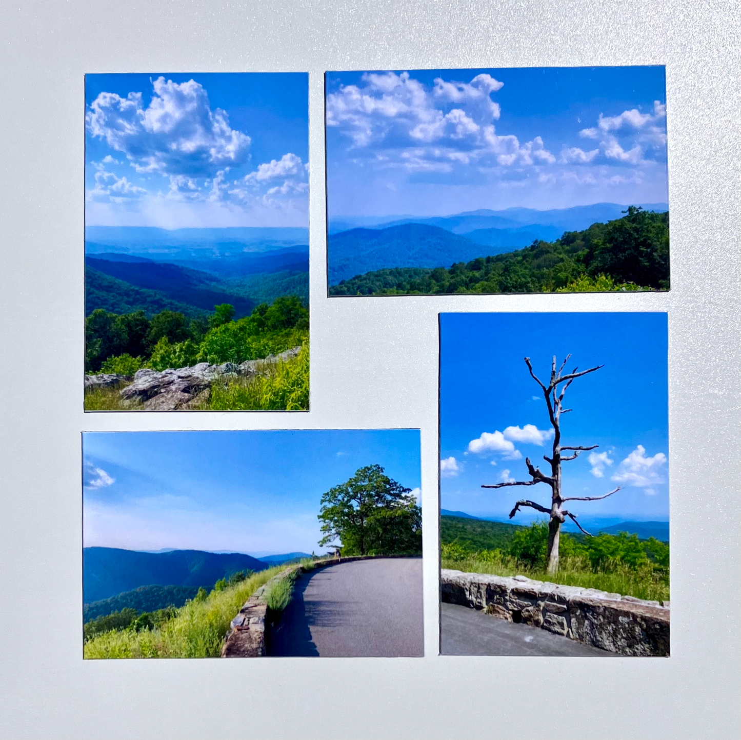 Custom Photo Magnets - (2 Sizes Available)