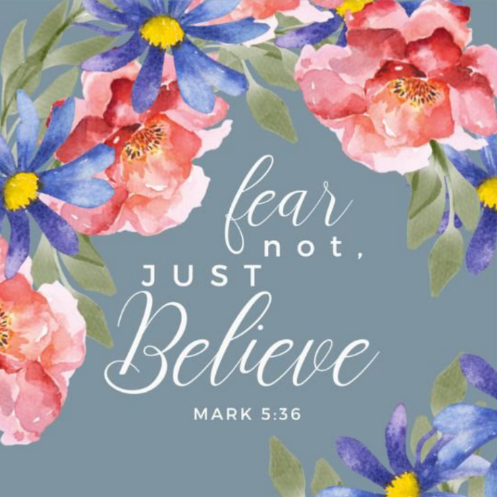 Floral Bible Verse Magnet Collection