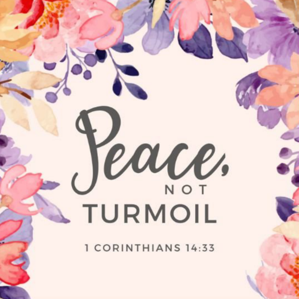 Floral Bible Verse Magnet Collection