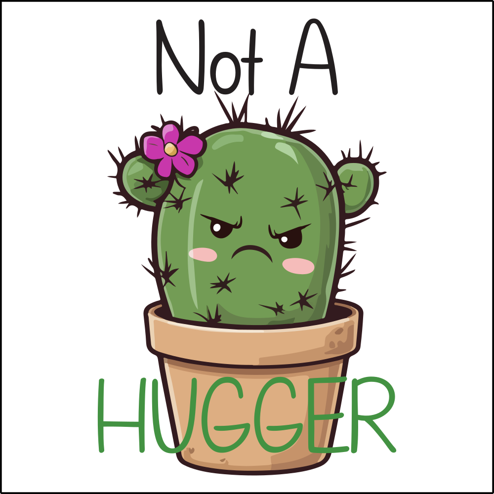 Sassy & Sarcastic Magnet Collection