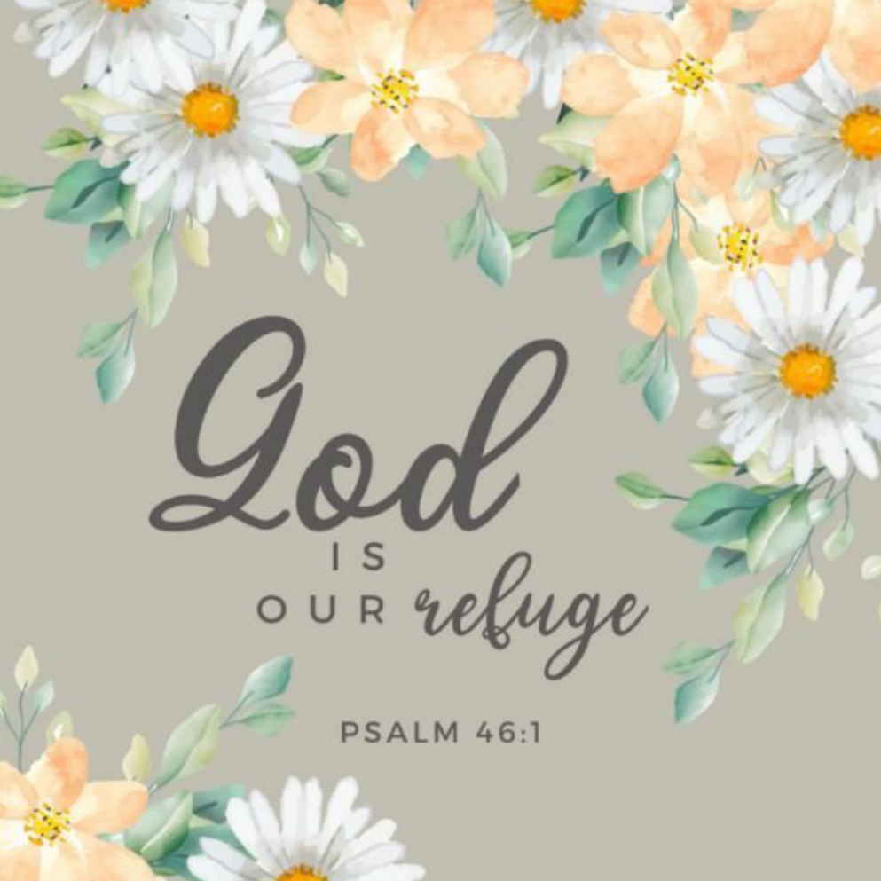 Floral Bible Verse Magnet Collection