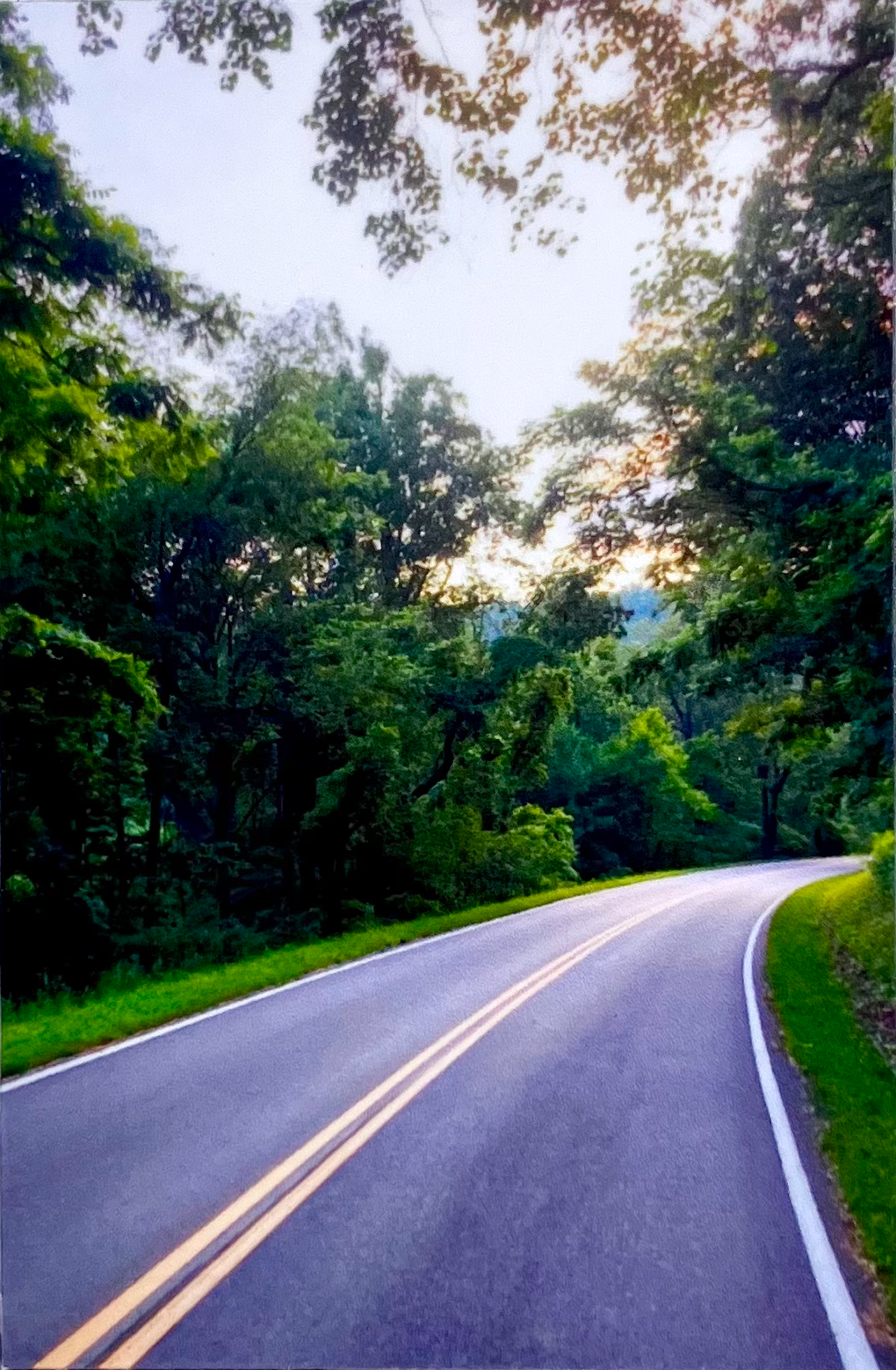 Skyline Drive Photo Magnets – Original Photography