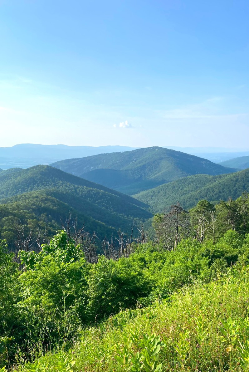 Skyline Drive Photo Magnets – Original Photography